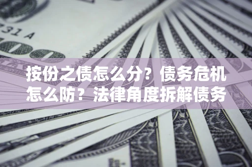 武汉按份之债怎么分？债务危机怎么防？法律角度拆解债务分配与风险自保指南