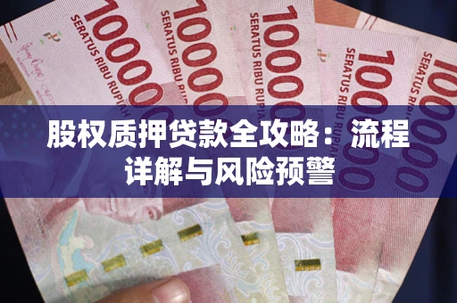 武汉股权质押贷款全攻略：流程详解与风险预警