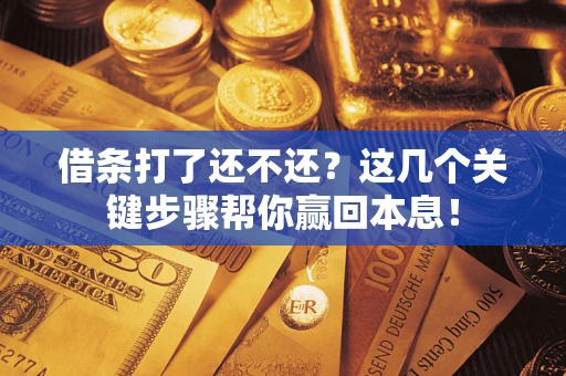武汉借条打了还不还？这几个关键步骤帮你赢回本息！