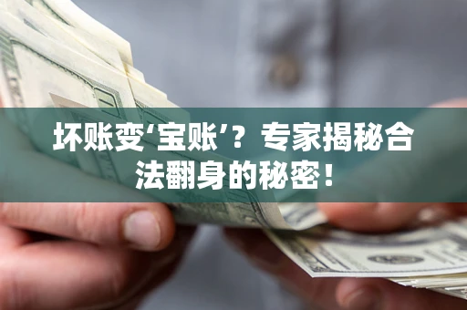 武汉坏账变‘宝账’？专家揭秘合法翻身的秘密！