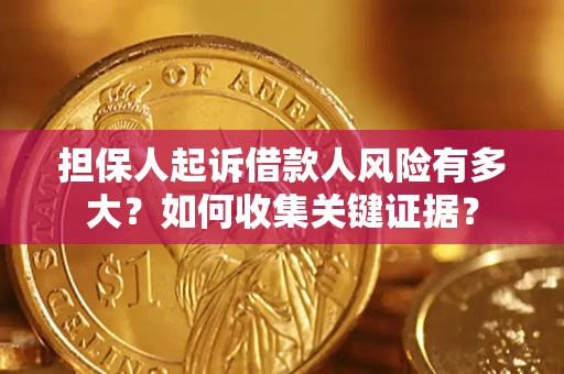 武汉担保人起诉借款人风险有多大？如何收集关键证据？