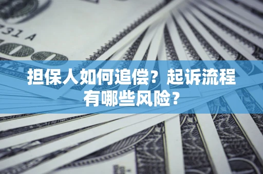 武汉担保人如何追偿？起诉流程有哪些风险？