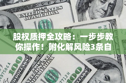 武汉股权质押全攻略：一步步教你操作！附化解风险3条自救法则