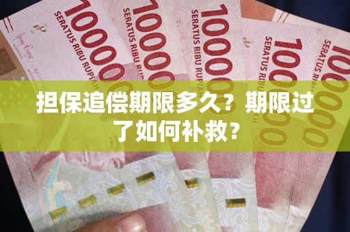 武汉担保追偿期限多久？期限过了如何补救？
