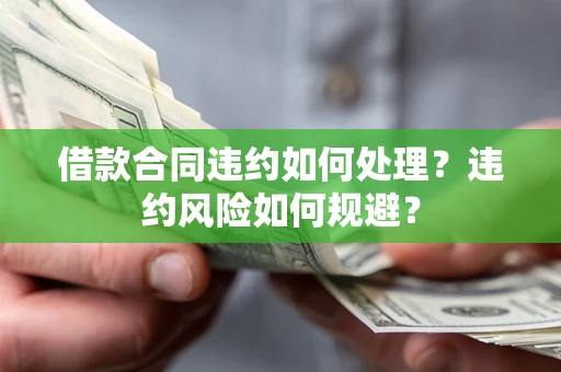 武汉借款合同违约如何处理？违约风险如何规避？