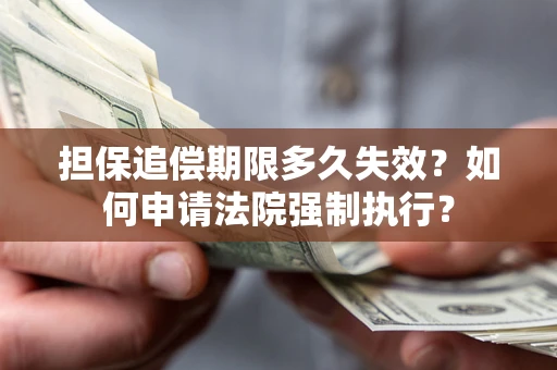 武汉担保追偿期限多久失效？如何申请法院强制执行？