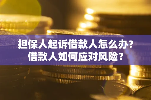 武汉担保人起诉借款人怎么办？借款人如何应对风险？