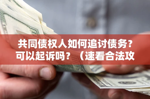武汉共同债权人如何追讨债务？可以起诉吗？（速看合法攻略）