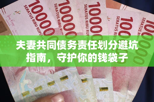 武汉夫妻共同债务责任划分避坑指南，守护你的钱袋子