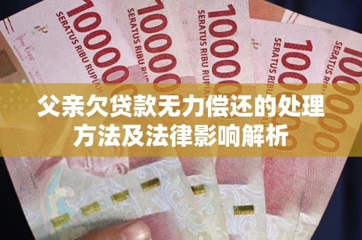 武汉父亲欠贷款无力偿还的处理方法及法律影响解析