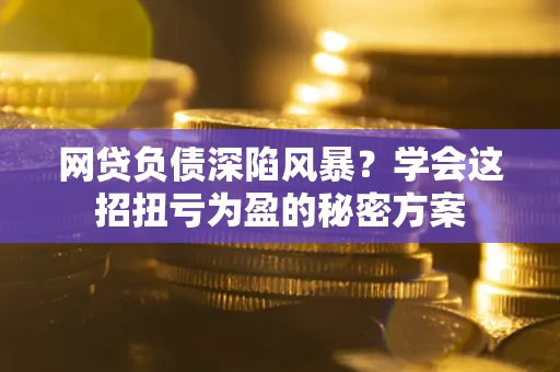 武汉网贷负债深陷风暴？学会这招扭亏为盈的秘密方案